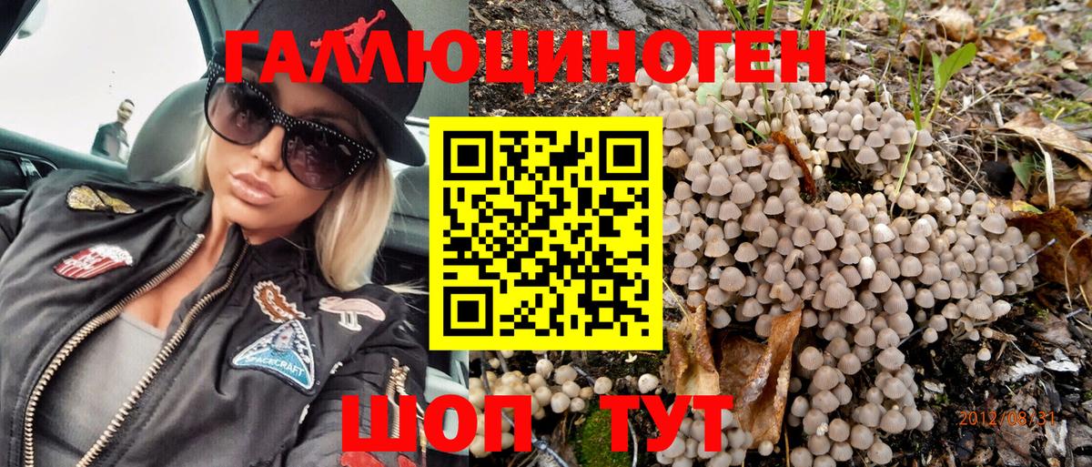 Галлюциногенные грибы Psilocybine cubensis Ульяновск
