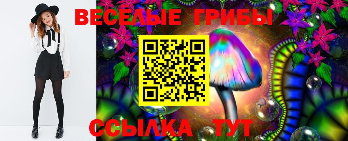Ульяновск  Псилоцибиновые грибы Cubensis  Вход с VPN  как найти наркотики  Галлюциногенные грибы ЛСД 